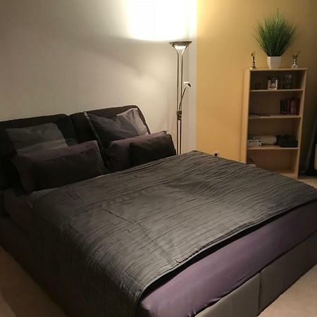 Kleine Wohnung Im Gruenen Dresden Dış mekan fotoğraf