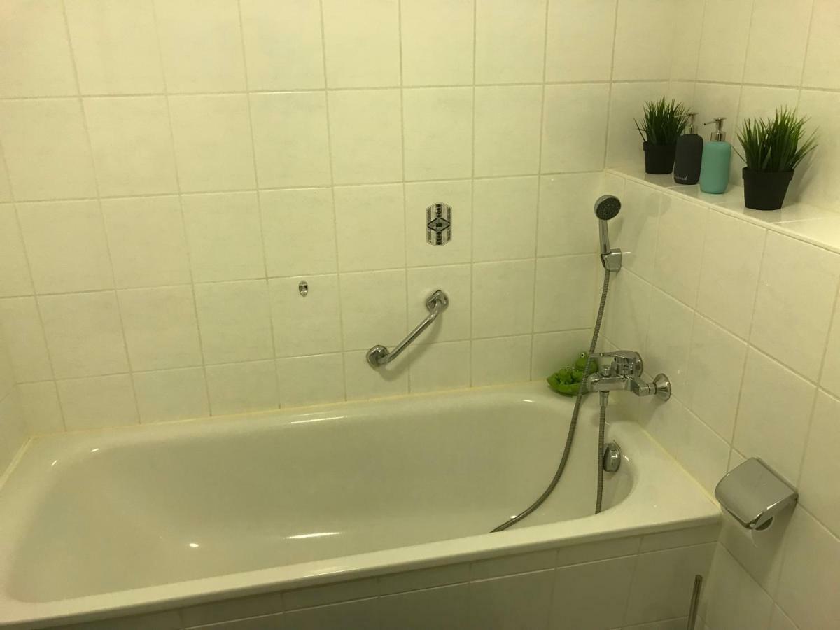 Kleine Wohnung Im Gruenen Dresden Dış mekan fotoğraf