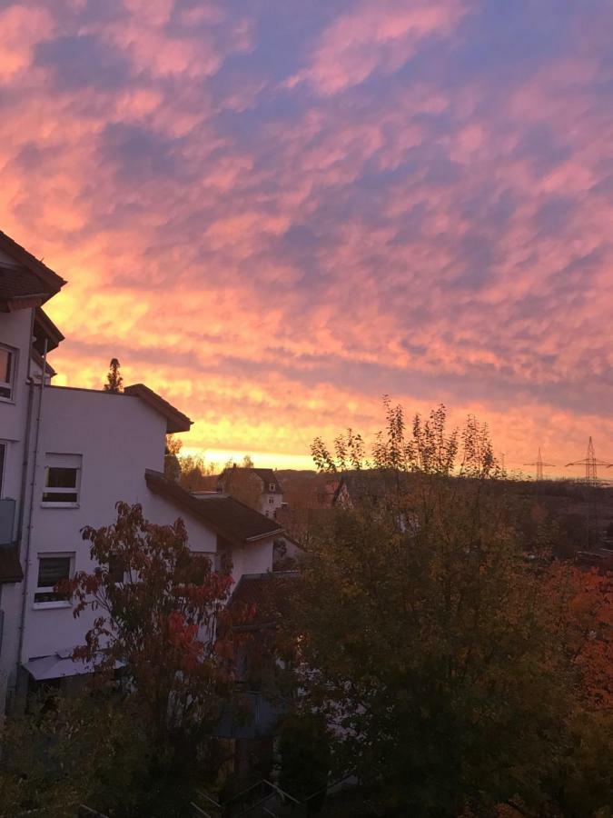 Kleine Wohnung Im Gruenen Dresden Dış mekan fotoğraf